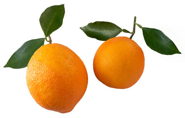 Oranges with green leaves isolated on white with clipping path included