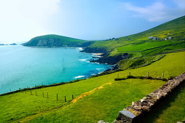 Cliffs and green fields of the scenic coast of the Dingle peninsula, County Kerry, Ireland - obrazy, fototapety, plakaty