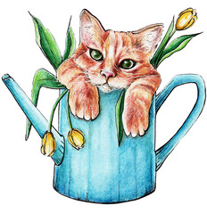 Cat&Tulips
Idea for prints posters,stickers,pillows,bags,cups,t-shirts