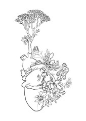 plants illustration