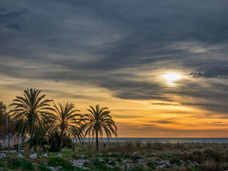 Benvingut 23-gen'21&nbsp;