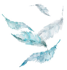 Bird feather - drawing by watercolor. Ink, pen, watercolor paint blue splash, ink. Logo, illustration, postcard.Watercolor feather on a white isolated background. Beautiful composition. Lightness