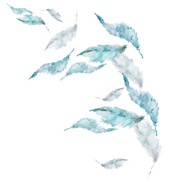 Bird feather - drawing by watercolor. Ink, pen, watercolor paint blue splash, ink. Logo, illustration, postcard.Watercolor feather on a white isolated background. Beautiful composition. Lightness