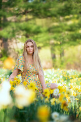 A tender girl with long blond hair in a flowery spring meadow. Lush flowering of daffodils