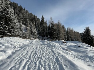 Wonderful winter hiking trails and traces in the fresh alpine snow cover of the Swiss Alps and over the tourist resort of Arosa - Canton of Grisons, Switzerland (Schweiz)