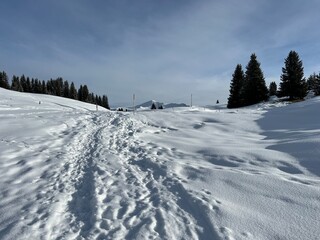 Wonderful winter hiking trails and traces in the fresh alpine snow cover of the Swiss Alps and over the tourist resort of Arosa - Canton of Grisons, Switzerland (Schweiz)