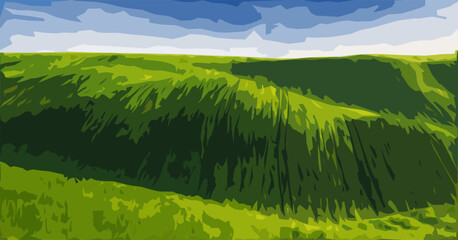 Obraz premium green field. picturesque hills. vector graphics on the theme of landscape