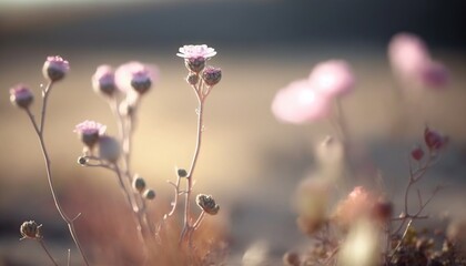  a close up of some pink flowers on a plant with a blurry back ground in the background and a blurry back ground in the foreground.  generative ai