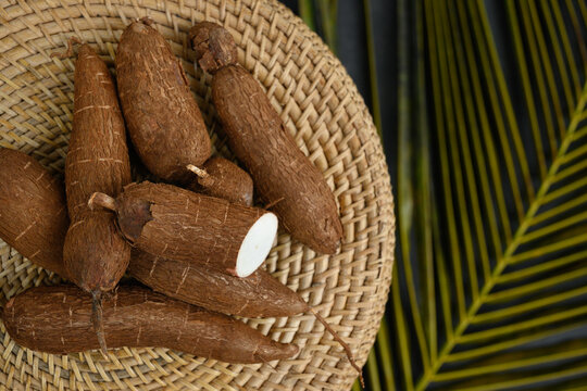 Organic raw Cassava tuber on wicker tray and palm leaves. View from above. Copy space. Yucca cassava root.