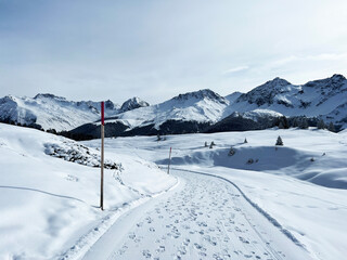 Fototapeta na wymiar Excellently arranged and cleaned winter trails for walking, hiking, sports and recreation in the area of the Swiss tourist winter resort of Arosa - Canton of Grisons, Switzerland (Schweiz)