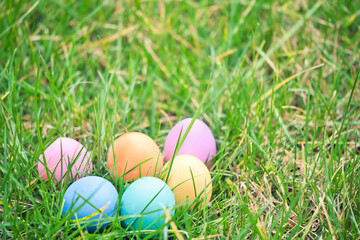 colorful easter eggs in green grass