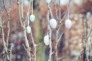 colorful easter eggs hanging on a branch, blurred background