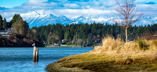 Port Washington Narrows, Olympics, Mt Jupiter @ Lions PARK, BREMERTON © Andy Card