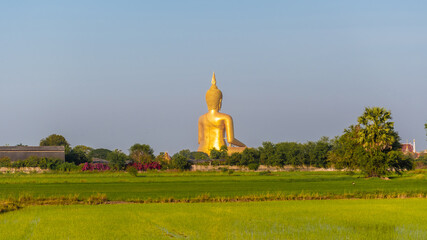 The back of a large golden yellow buddha At Wat Muang, which is an important religious tourist destination In Ang Thong Province in Thailand