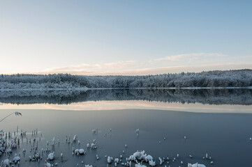 Winter forest near the lake. Sunny and snowy day.