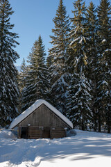 Fototapeta na wymiar little house in winter mountains amidst snow-covered forest
