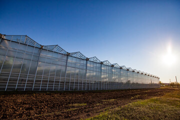 Obraz premium Glass greenhouses in sunset. Blue sky with sun.
