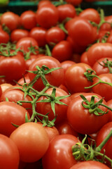 red color small tomato on table 