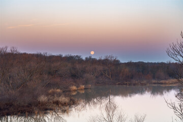 Fototapeta na wymiar Moonset over Mansfield, TX