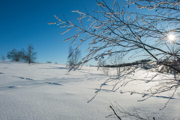 clearing in the winter mountains on a sunny day for outdoor activities and walks