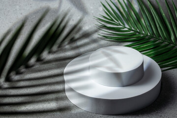 Modern minimalist mockup green palm leaf branches background. podium display or showcase