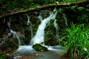 Small stream in  Apuseni mountain  Romania