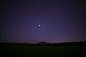 starry night sky above field and forest