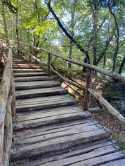 Fototapeta premium Lacs de Plitvice, Croatie