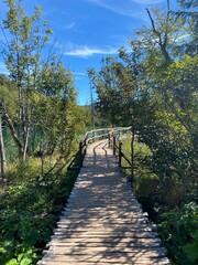 Fototapeta premium Lacs de Plitvice, Croatie