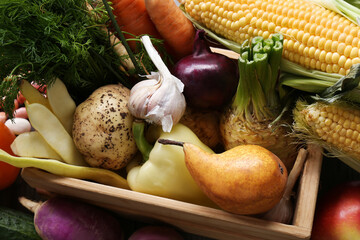 Different fresh vegetables in wooden crate as background, closeup. Farmer harvesting