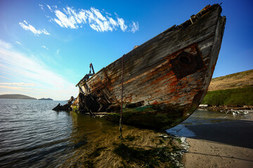 the Falklands