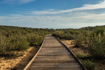 wooden path on the sand surrounded by bushes on a sunny day with some clouds