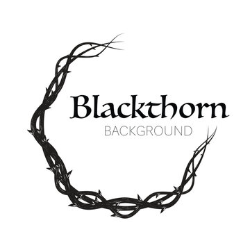 Blackthorn branches with thorns circle
