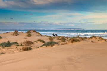Fototapeta na wymiar Vega Baja del Segura - Guardamar - Paisaje de las dunas de Guardamar del Segura