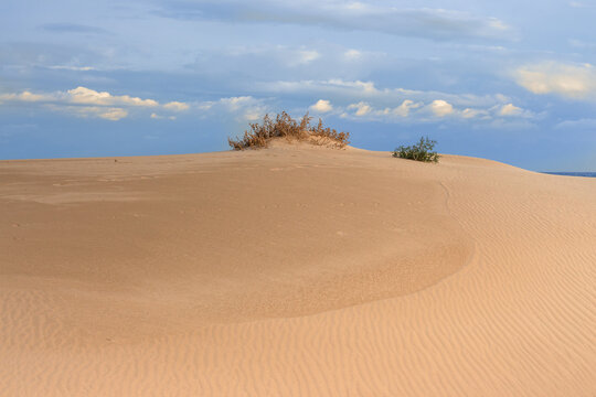 Vega Baja del Segura - Guardamar - Paisaje de las dunas de Guardamar del Segura