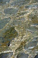 Piedras brillantes en el muelle de Alojera, La Gomera