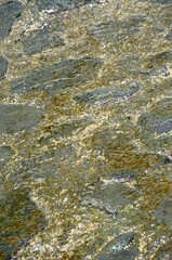 Piedras brillantes en el muelle de Alojera, La Gomera
