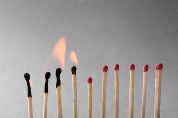 Burning and whole matches on light grey background, closeup. Stop destruction by breaking chain...