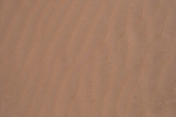 Fototapeta na wymiar Fine soft and warm sand on the sea coast, background