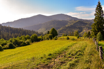 Fototapeta premium Ukraine Carpathians, Slavske. Mountain landscape on a sunny day with a green grassy meadow. Green Hills environment of trascarpathia in summer on a sunny. Landscape of carpathian mountains 