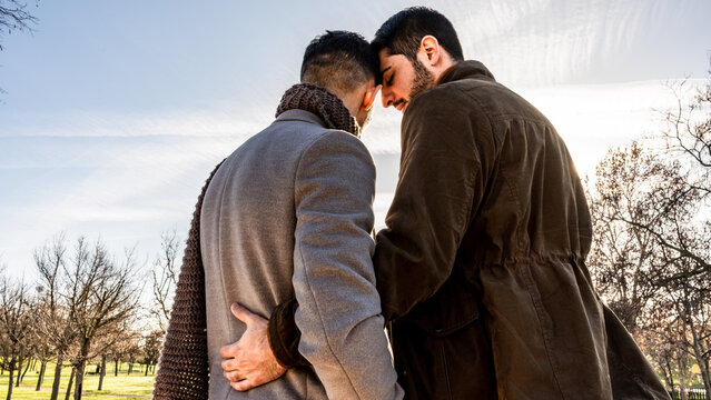 gay couple in love, hugging