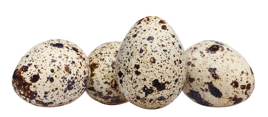 Obraz premium Delicious quail eggs cut out