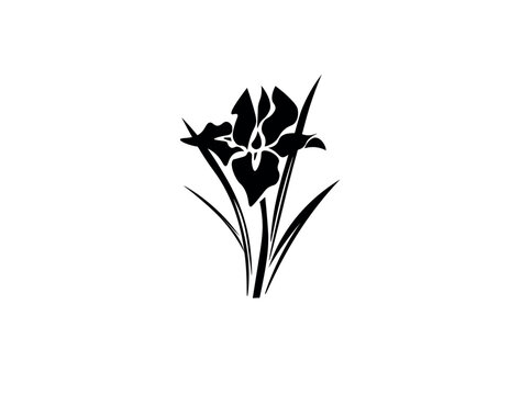 Black silhouette of iris flowers. Vector illustration. Spring flower. Vector black silhouettes.