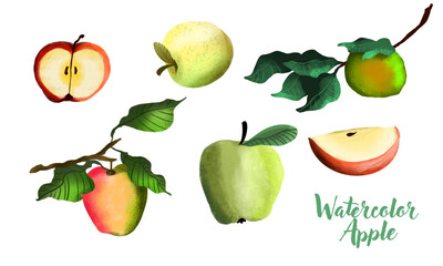 Beautiful set with hand drawn watercolor tasty summer red apple fruits. Stock illustration.