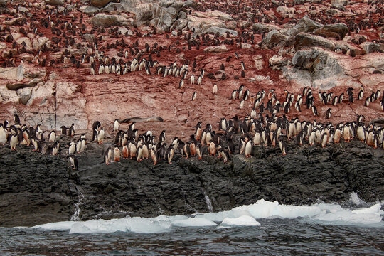 Heroina Island