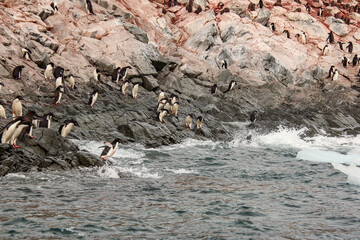 Obraz premium Heroina Island