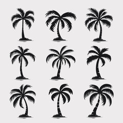 Vector Palm Trees, Palm Tree Icon Set Isolated. Palm Silhouettes. Design Template for Tropical, Vacation, Beach, Summer Concept. Vector Illustration. Front View