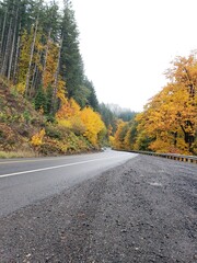 Fototapeta premium road in autumn