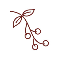 Coffee bean PNG image icon with transparent background