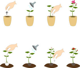 Plant seedling icon set. Flat illustration of 9 plant seedling icons